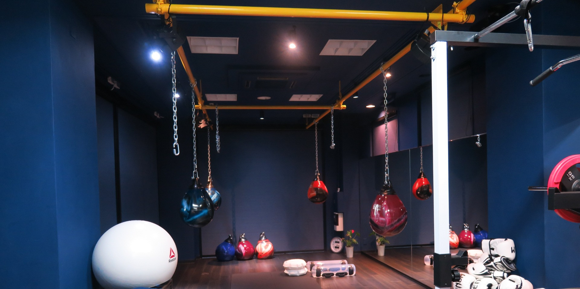 コンディショニングスタジオ studioD